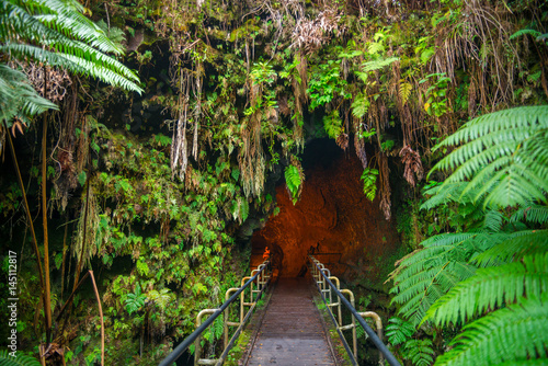 Obraz na płótnie The Thurston Lava Tube in Hawaii Volcano National Park, Big Island w salonie