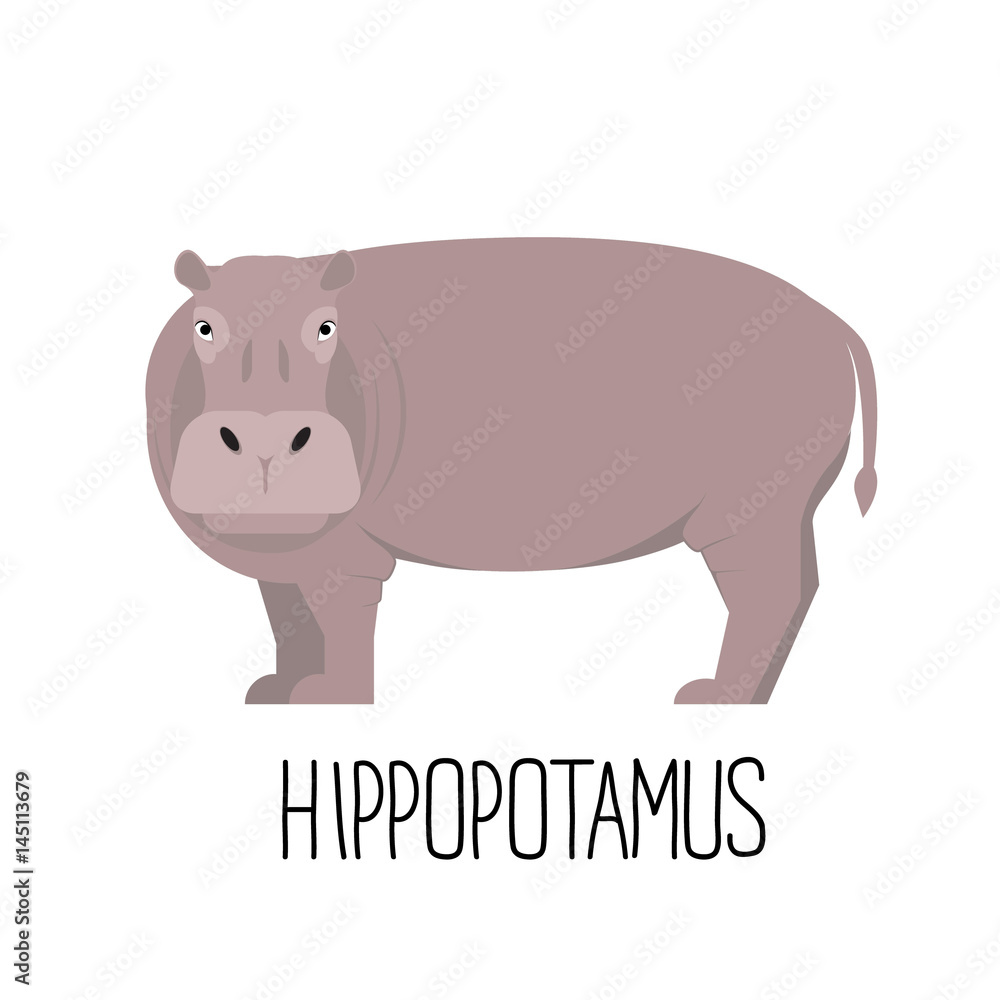 Hippo flat style vector. Wild herbivorous animal. African fauna species. Cartoon cute hippopotamus vector flat illustration Hippo flat style vector. Wild herbivorous animal. African fauna species. Cartoon cute hippopotamus vector flat illustration