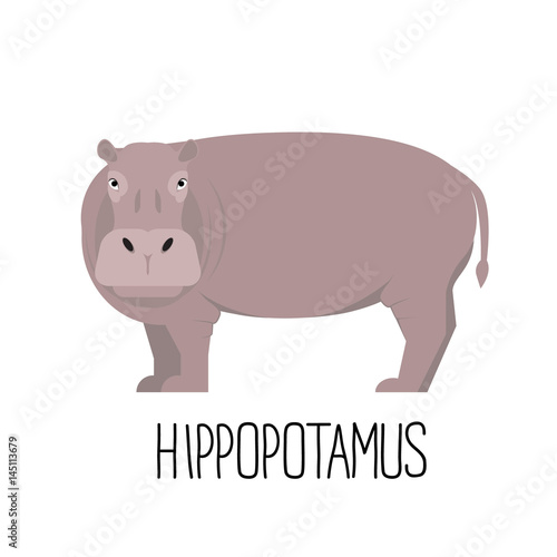 Hippo flat style vector. Wild herbivorous animal. African fauna species. Cartoon cute hippopotamus vector flat illustration