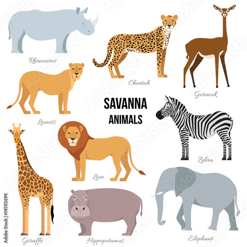 Photo African animals of savanna elephant, rhino, giraffe, cheetah, zebra lion hippo i