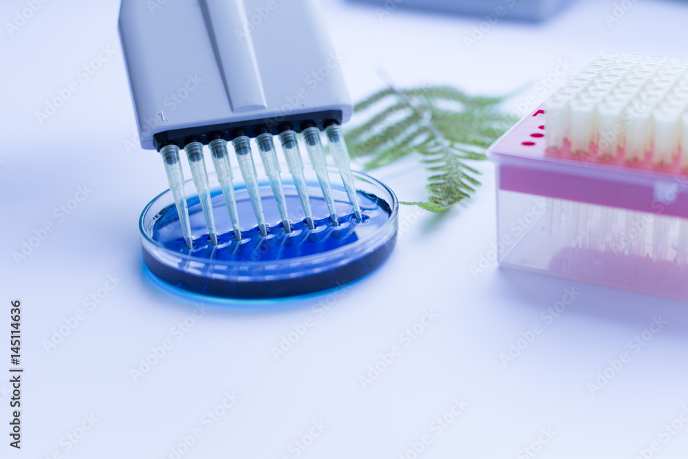 Background of Plants test and experimental in laboratory Background of Plants test and experimental in laboratory