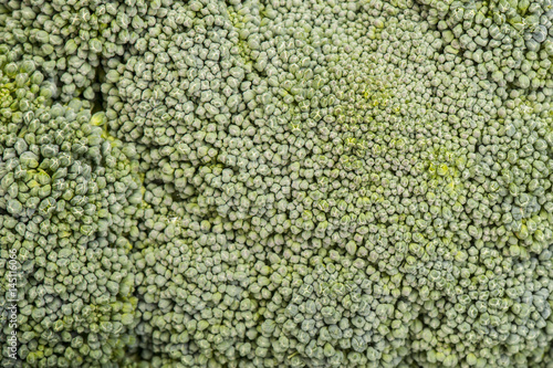 Macro shot of fresh broccoli