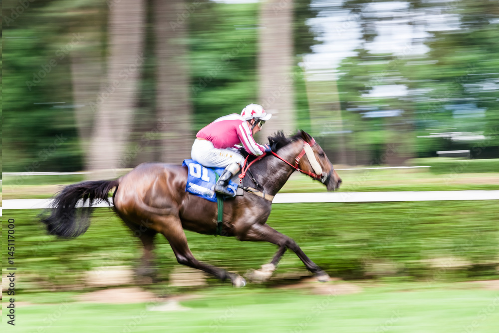Racing Horse in Competition (Motion Pan) Racing Horse in Competition (Motion Pan)