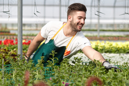 happy male nursery worker trimming plants in greenhouse © Stocked House Studio