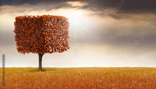 Rechteckiger Baum
