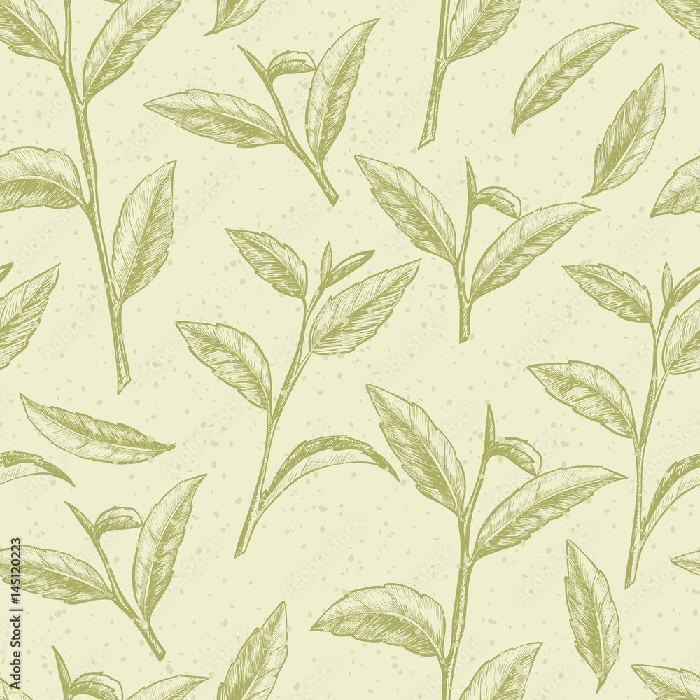 Fototapeta premium Green tea. Vector seamless pattern. Vintage style