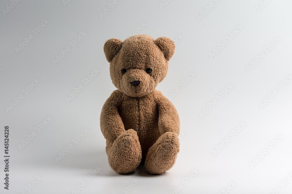 Single teddy 2025 bear