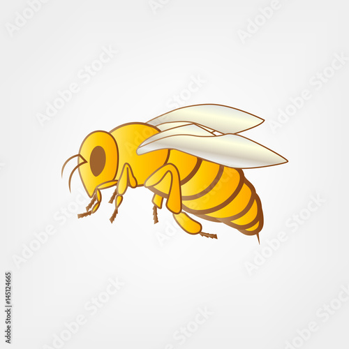 Bee