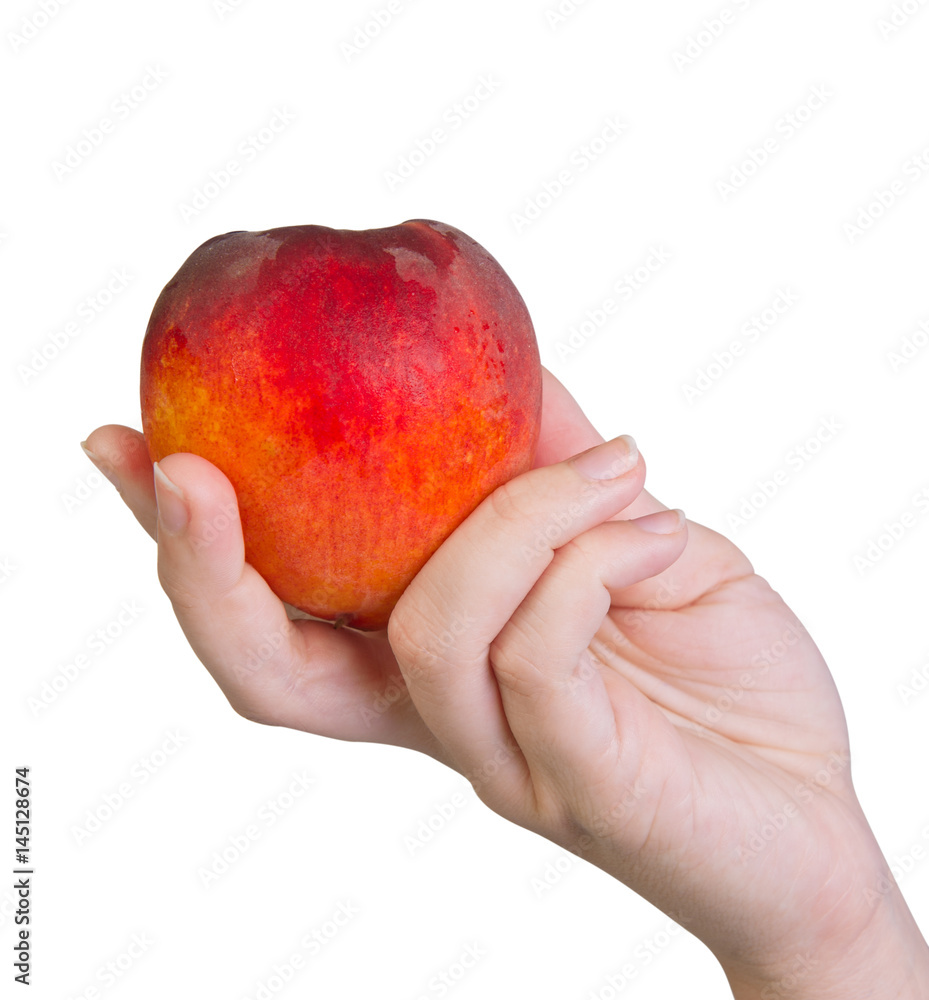 Female hand holding a ripe peach isolated on white Female hand holding a ripe peach isolated on white