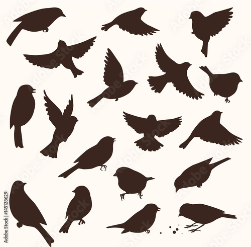 Canvas Print Vector set of bird silhouette. Sitting and flying birds