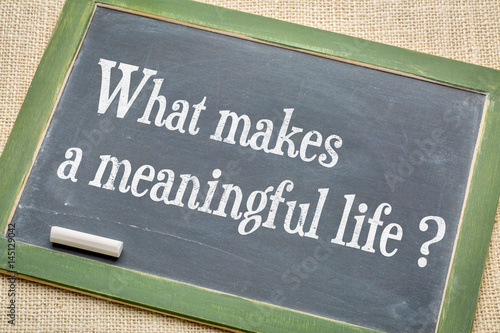 Obraz na plátně What makes a meaningful life?