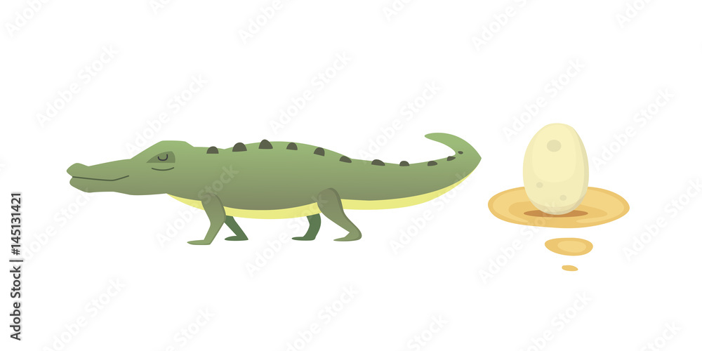 Cute Crocodile set. Aligator vector cartoon illustration Cute Crocodile set. Aligator vector cartoon illustration