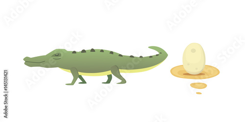 Cute Crocodile set. Aligator vector cartoon illustration