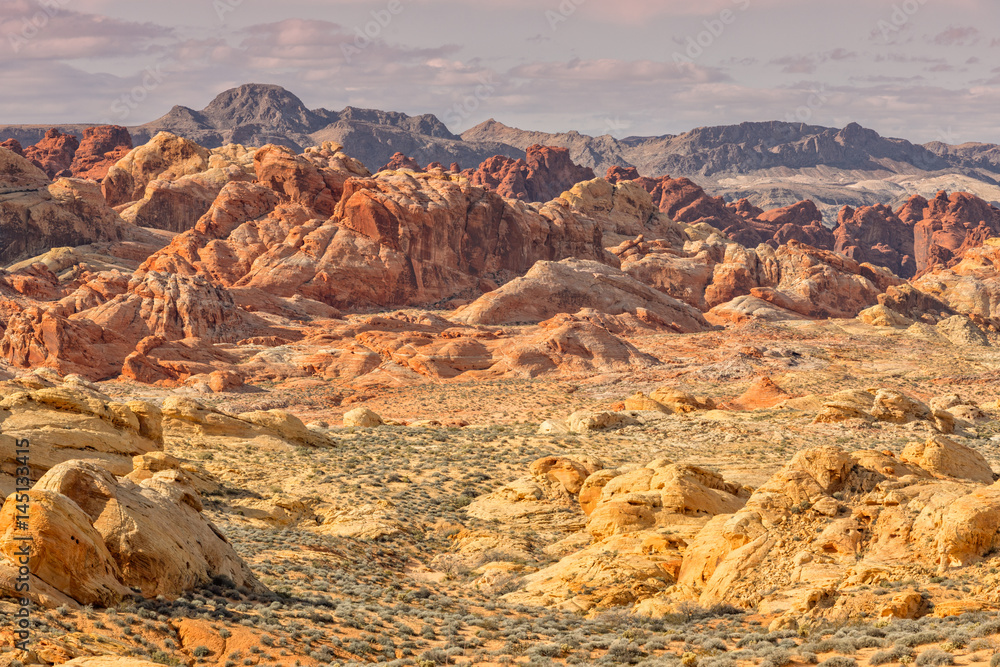 Scenic Valley of Fire Landscape