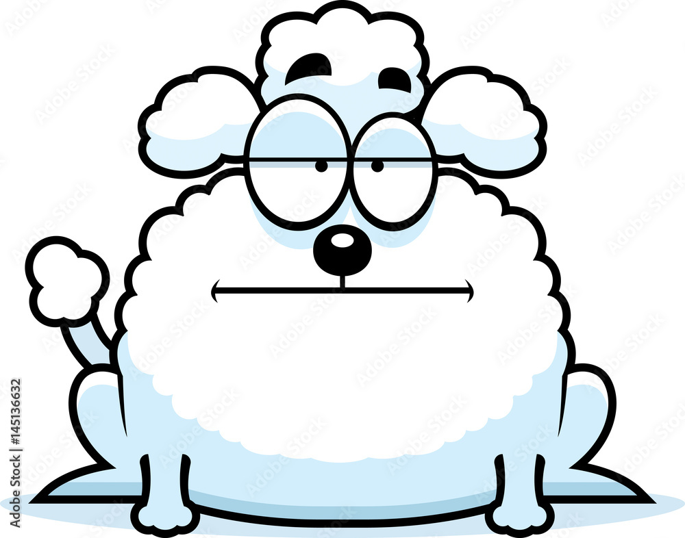 Calm Little Poodle Calm Little Poodle