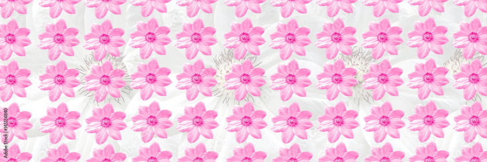pink Floral Seamless Pattern Flowers Texture background