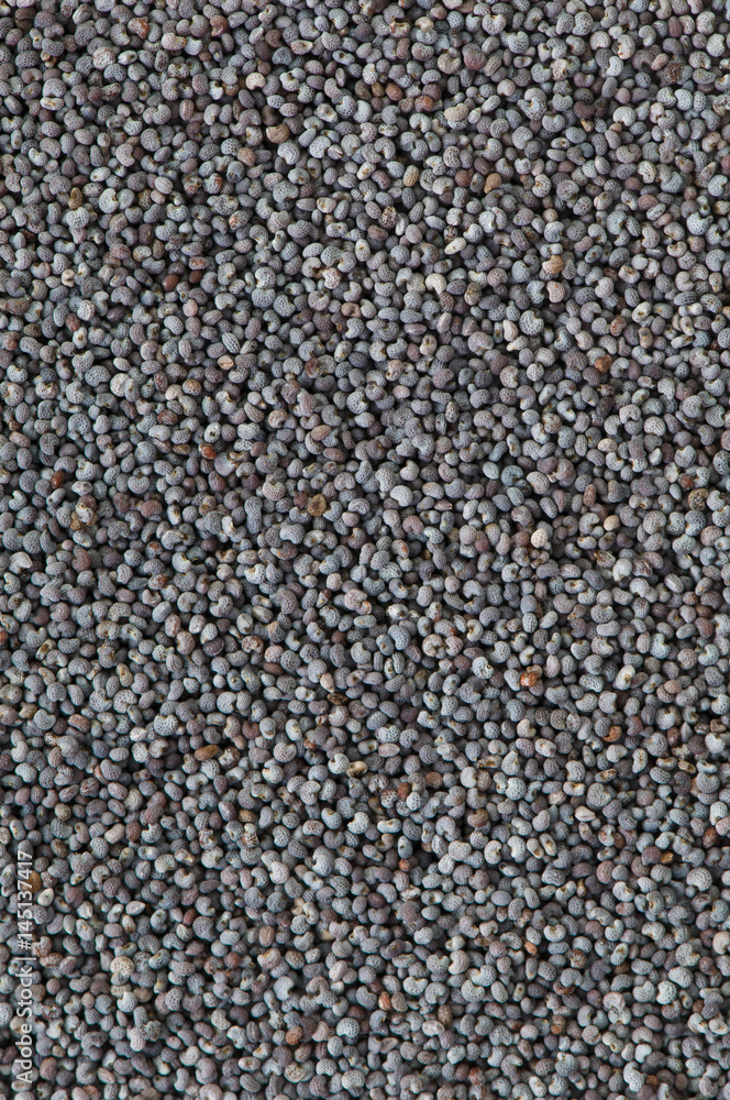 Macro blue poppy seed background texture Macro blue poppy seed background texture