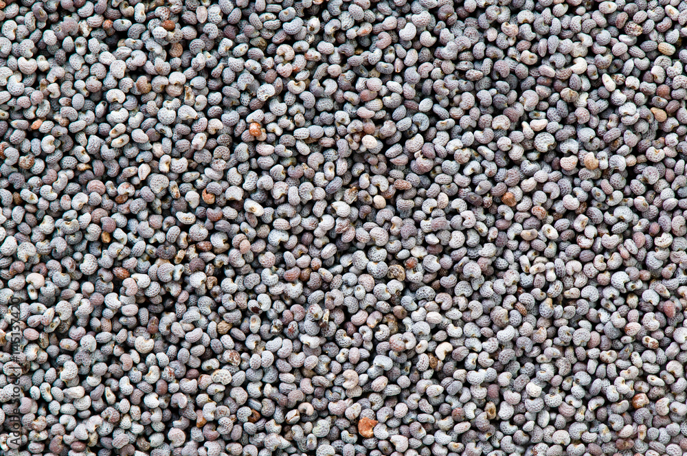 Macro blue poppy seed background texture Macro blue poppy seed background texture