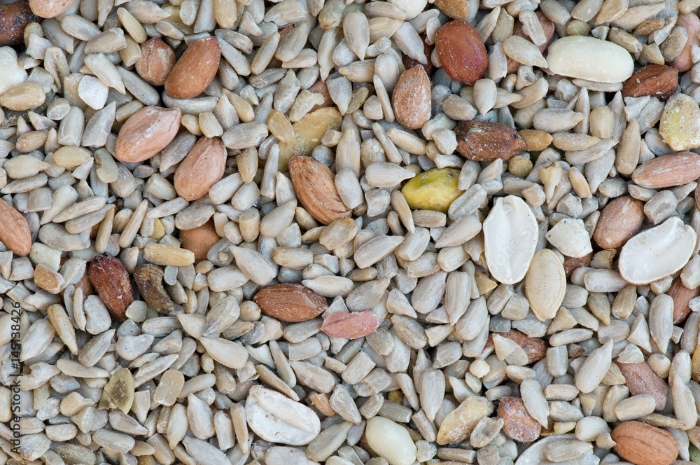 Premium bird seed mix close up background texture