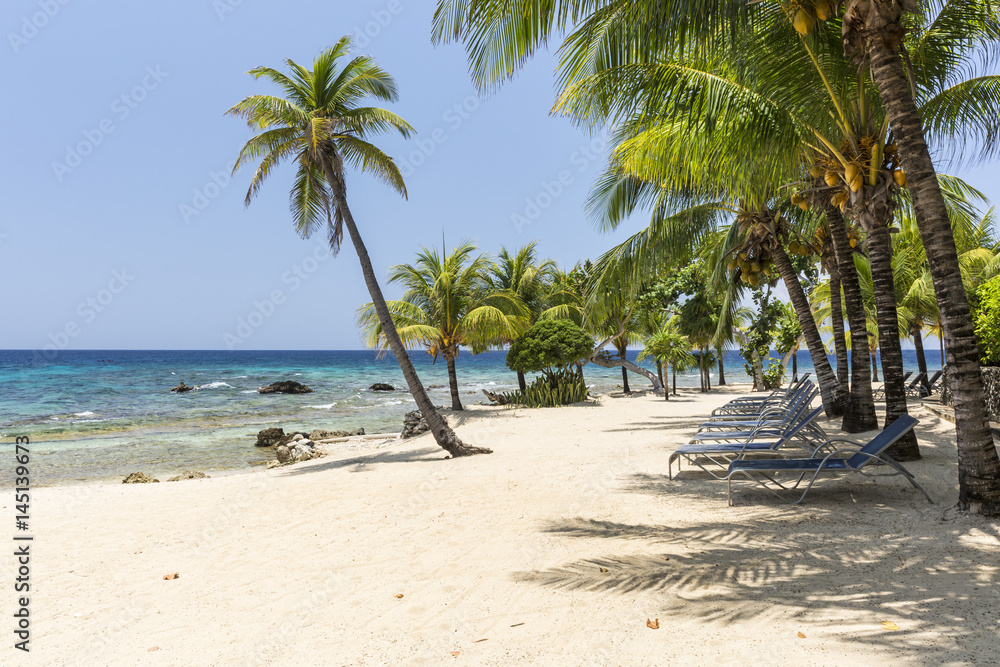 Fototapeta premium Turquoise Waters on Roatan Beach