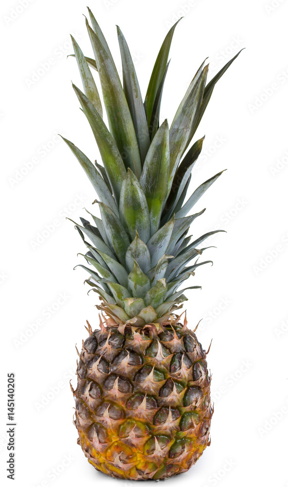 Pineapple on a white background Pineapple on a white background