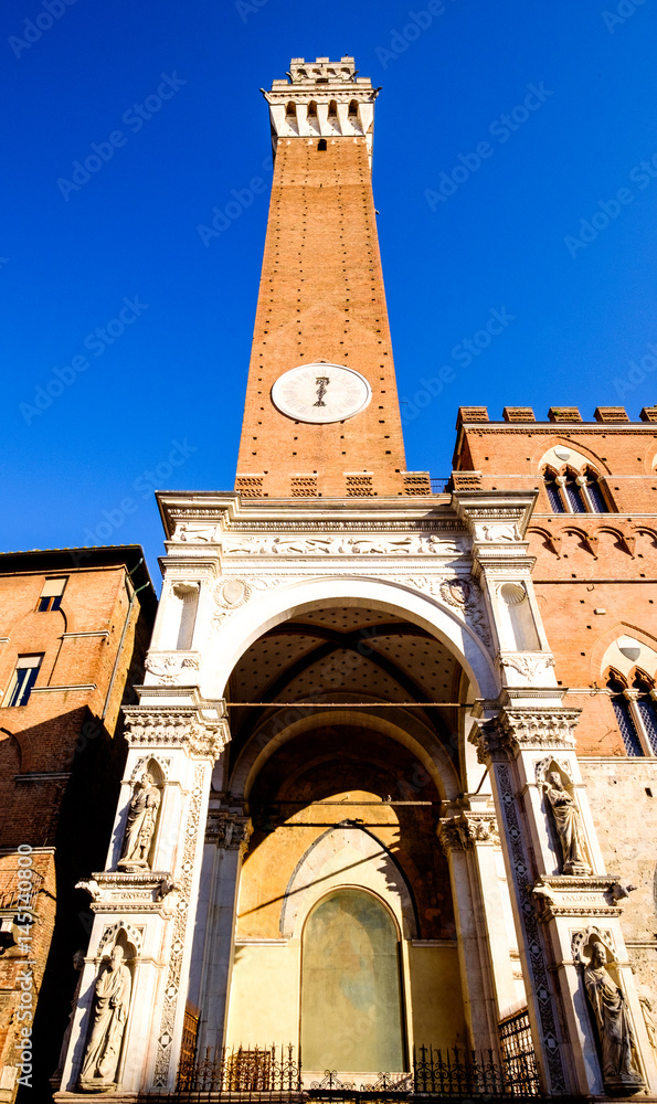 Fototapeta premium Torre del Mangia