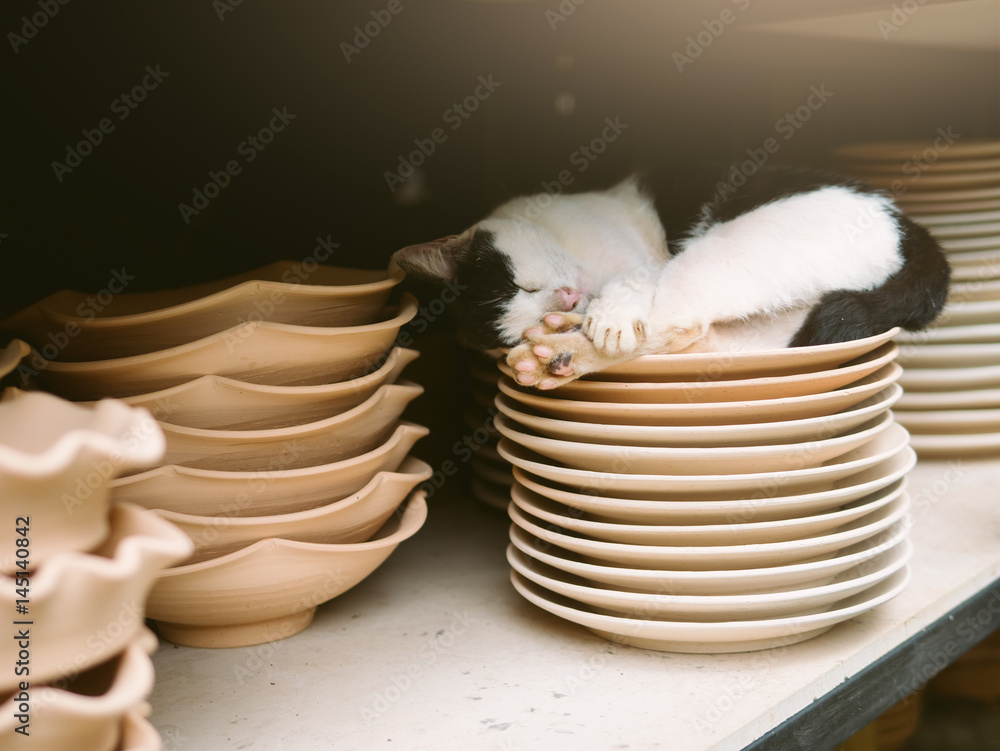Pottery plate and cat, Handmade clay plate