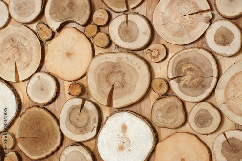 saws of trees of different sizes  natural wood  a wallpaper