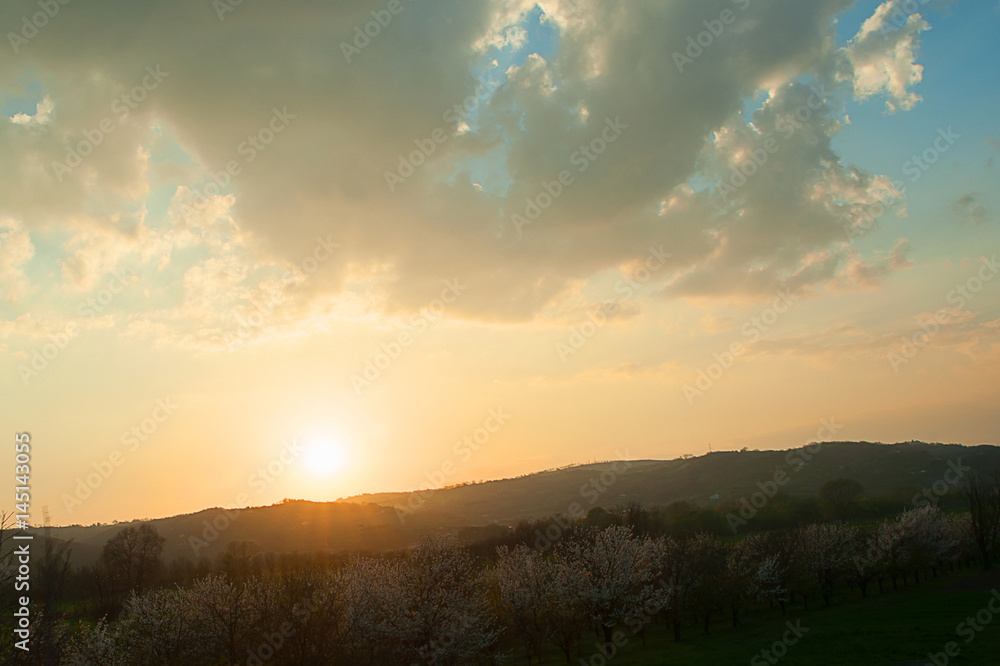 Spring sunset landscape