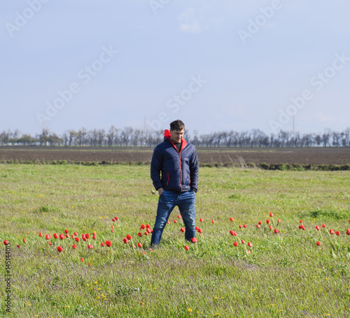 A man in a jacket on a field of tulips. Glade with tulips photo