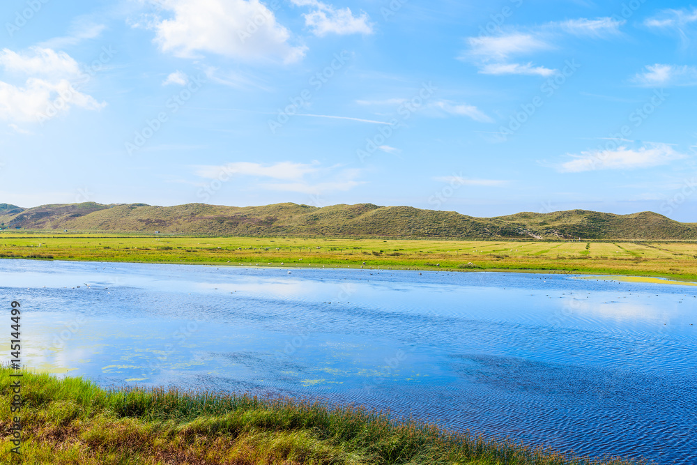 Lake and green meadow on northern coast of Sylt island near List port, Germany