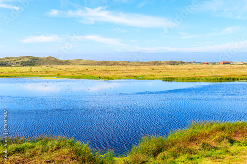 Lake and green meadow on northern coast of Sylt island near List port, Germany