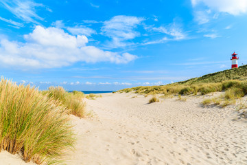 Foto auf Acrylglas Nordsee Gras auf Sanddünen am Strand Ellenbogen, Insel Sylt, Deutschland  © pkazmierczak