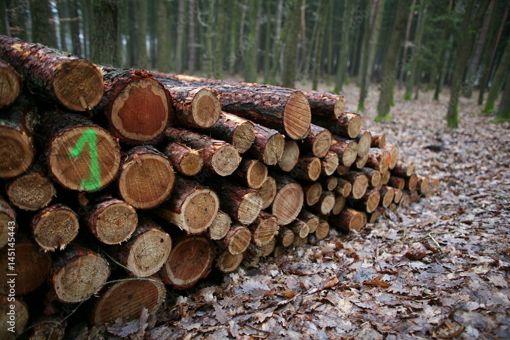 wooden logs 