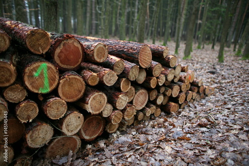 wooden logs 