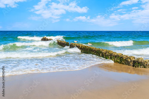 Breakwaters with seagulls and sea waves on a beach, Sylt island, Germany