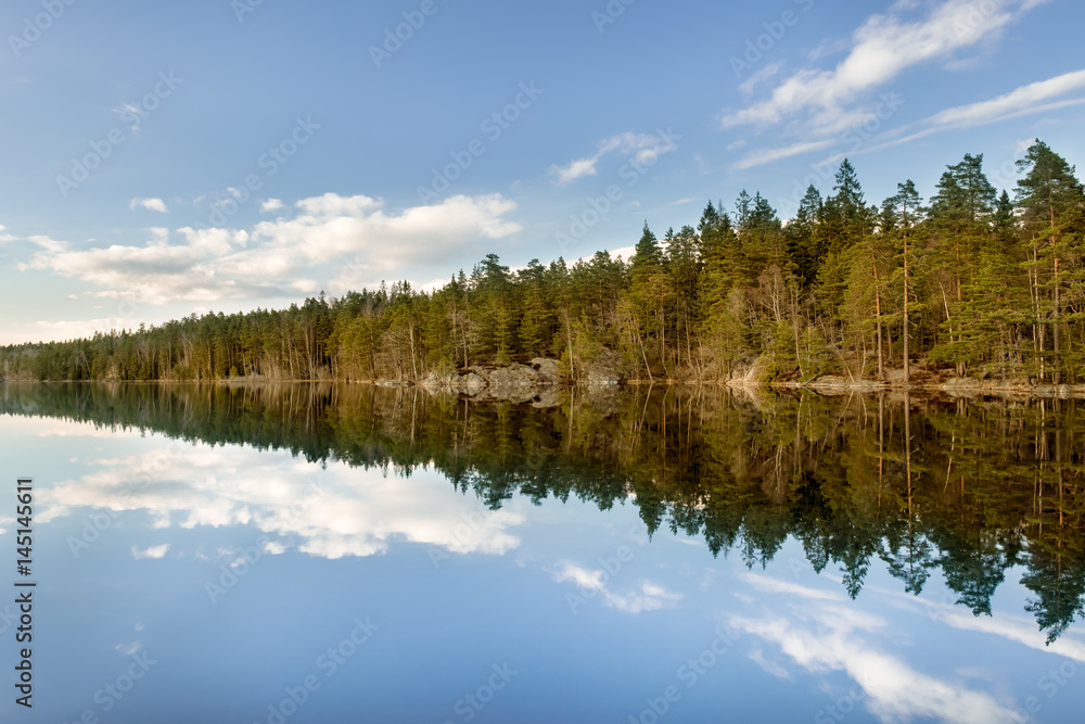 Evening light on forest trees by lake with perfect reflection in water at Tyresta National Park in Stockholm, Sweden