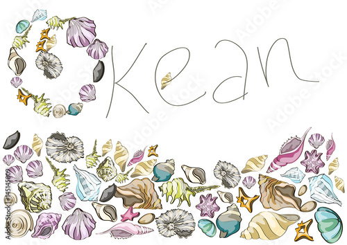 Summer design,  set with different sea shells vector