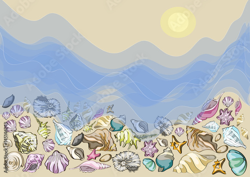 Summer design, background with different sea shells vector