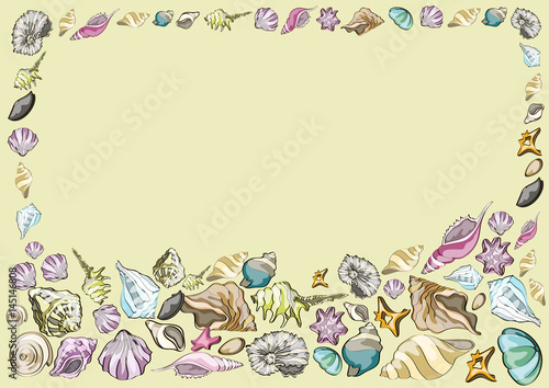 summer design,  frame with  different  sea  shells , vector