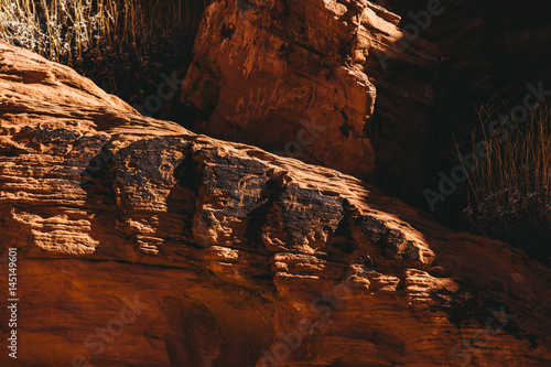 Petroglyphs along Mouse s Tank Trail in Valley Of Fire State Park