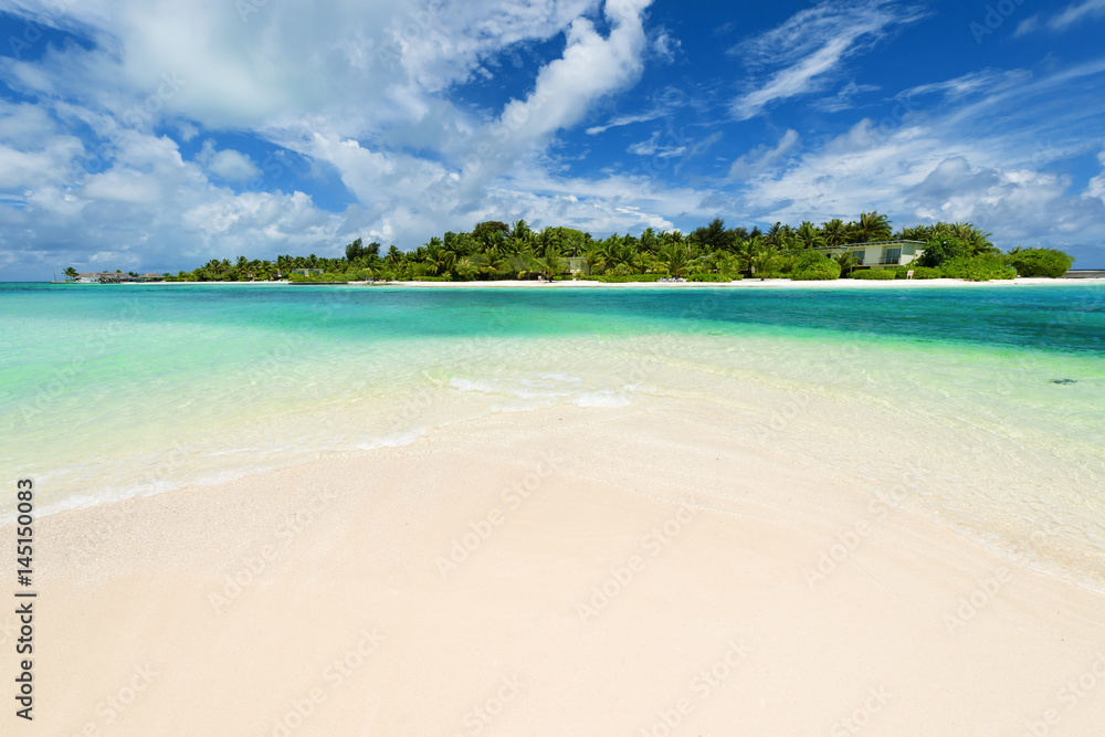 Beautiful white sand tropical beach with palm trees. Copy space.