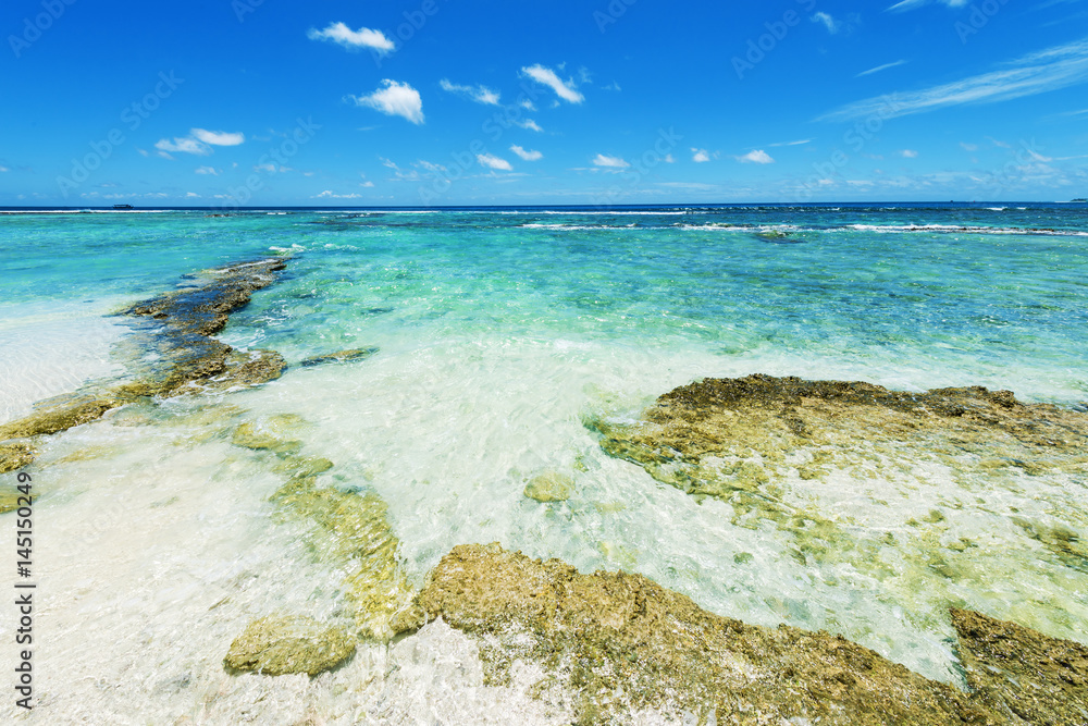 Tropical landscape, turquoise water.Copy space Tropical landscape, turquoise water.Copy space