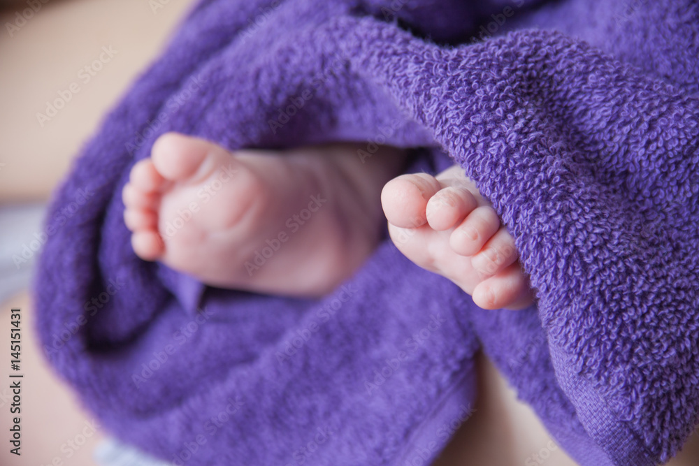 Baby feet folded in purple towel Baby feet folded in purple towel
