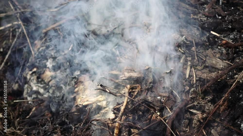 Burning and smoking heap of wooden branches and leaves foliage. Slow motion. Burning and smoking heap of wooden branches and leaves foliage. Slow motion.