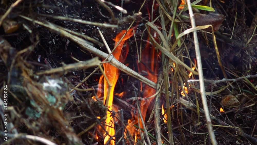 Burning branches in fire in slow motion. Closeup of the beautiful flame fire. Burning branches in fire in slow motion. Closeup of the beautiful flame fire.