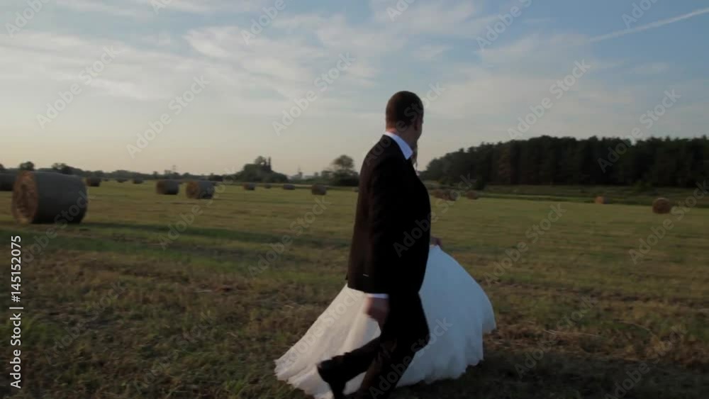 Couple running on meadow at sunset. The bride and groom holding hands. Couple running on meadow at sunset. The bride and groom holding hands.