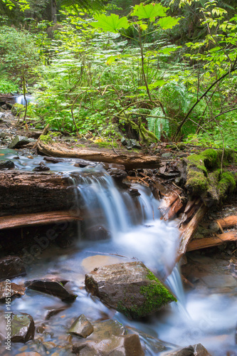 Waterfall in British Columbia  in Canada 