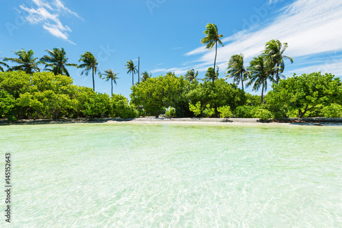 Fototapeta Naklejka Na Ścianę i Meble -  Exotic Maldives island