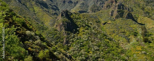 Natural landscape, mountains of Gran canaria, Canary islands